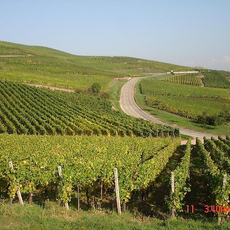 Gite Du Vigneron Appartement Turckheim Buitenkant foto