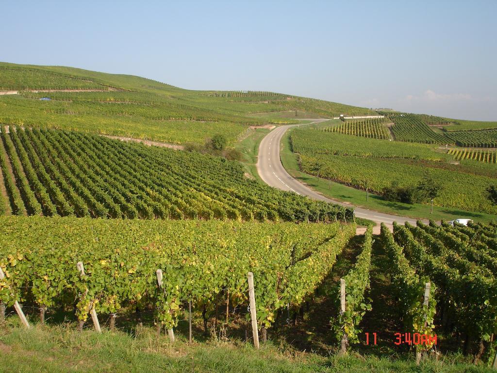 Gite Du Vigneron Appartement Turckheim Buitenkant foto