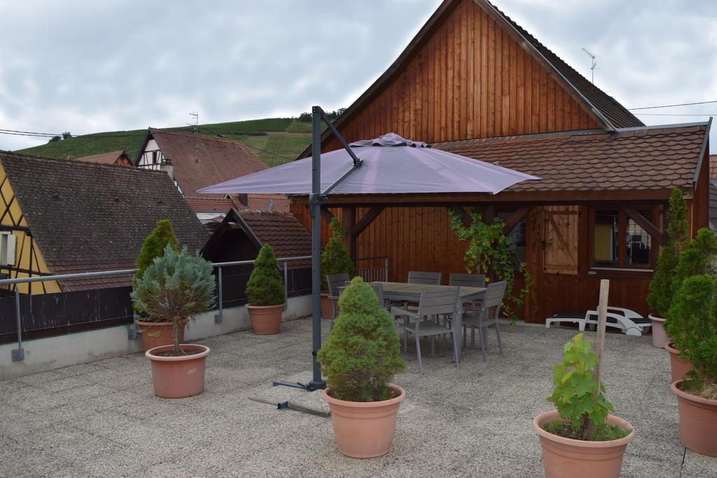 Gite Du Vigneron Turckheim Buitenkant foto